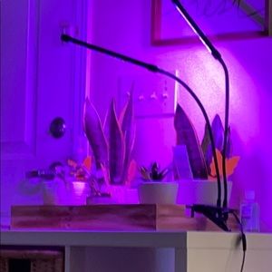 Meet your Posher, Zaniyah